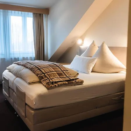 Hotel Villa Will-2